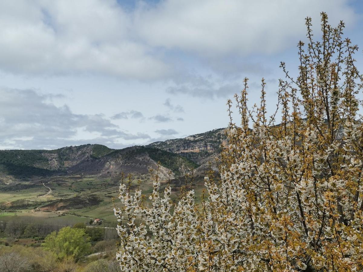 Castellanos * Huelamos